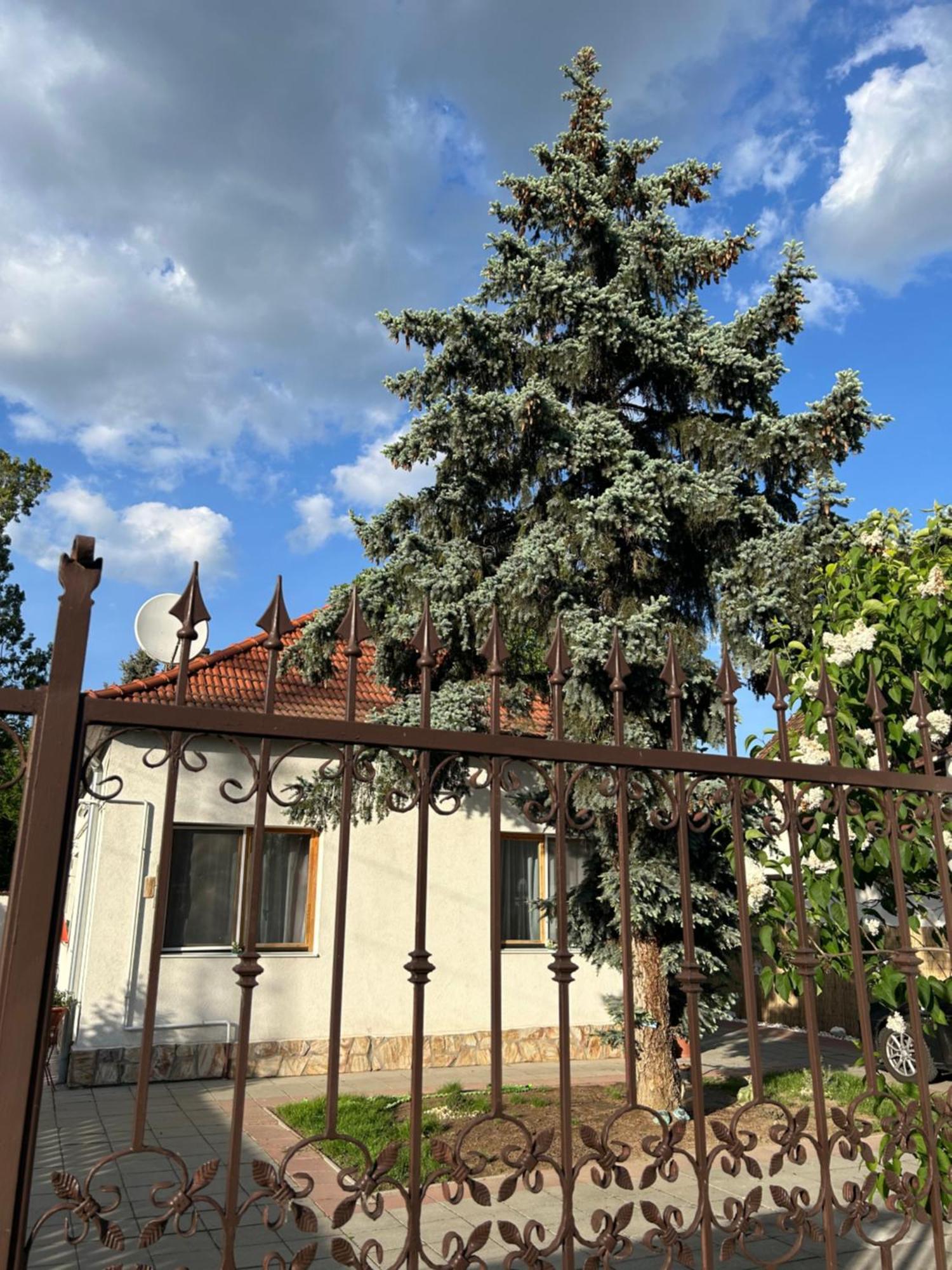 Tavaszpart Vendeghaz Apartment Szeged Luaran gambar